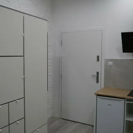 公寓 Apartament Heaven Studio 卡托维兹